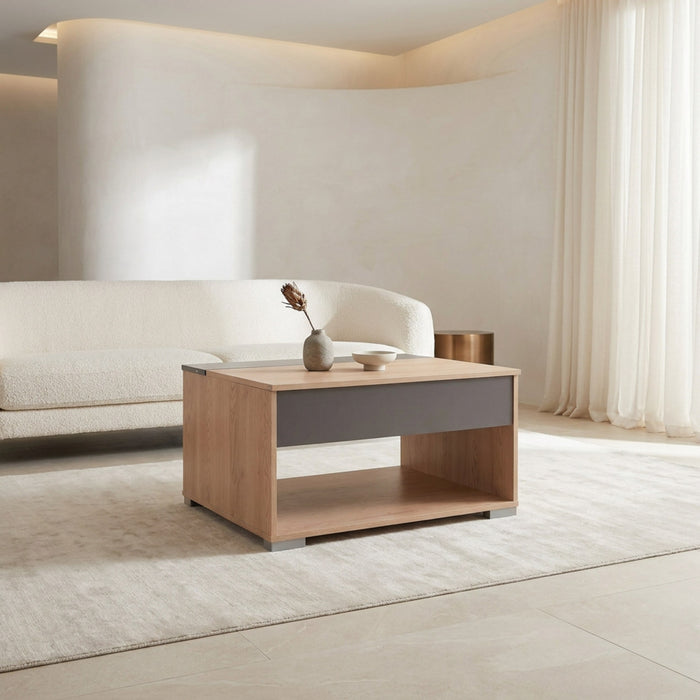 Modern Rectangular Lift Top Coffee Table with Hidden Storage