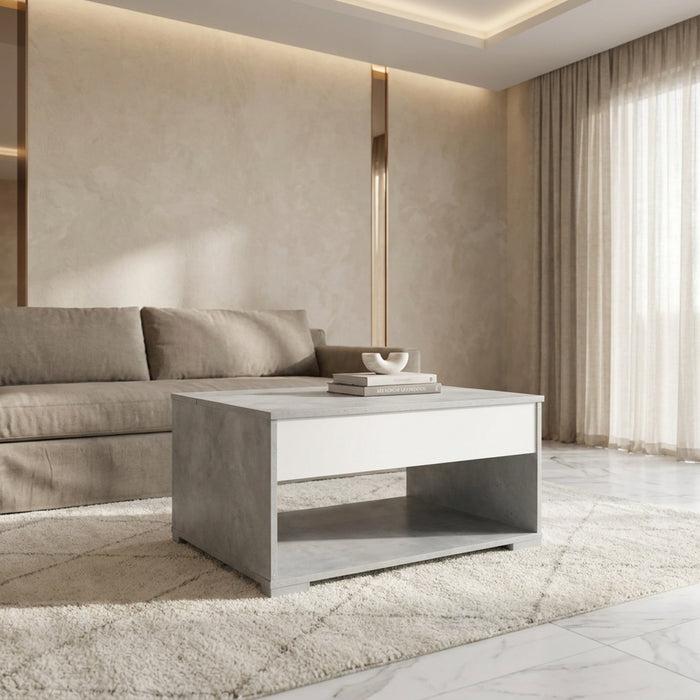 Modern Rectangular Lift Top Coffee Table with Hidden Storage