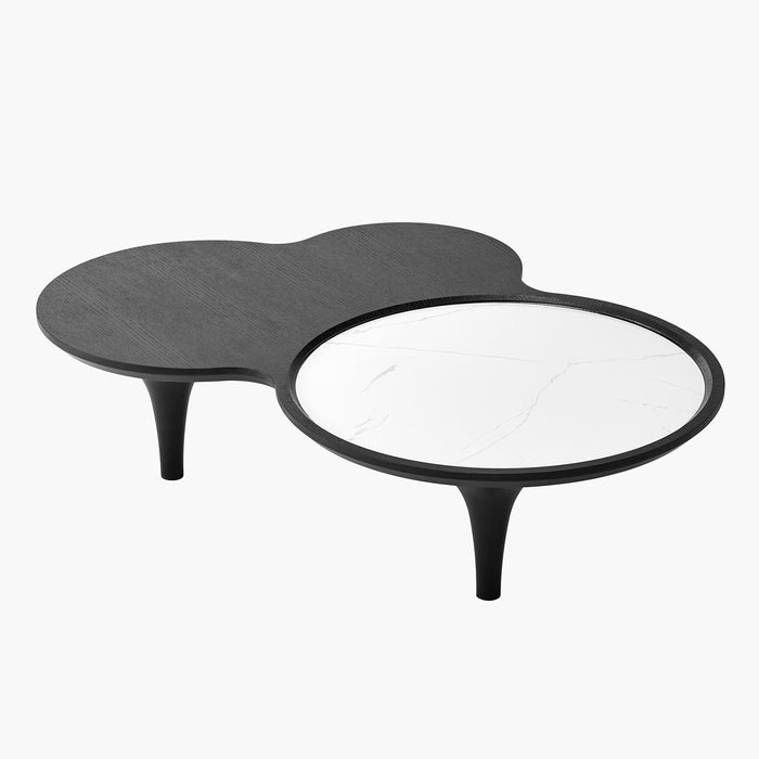 Modern Sintered Stone Organic Shape Coffee Table