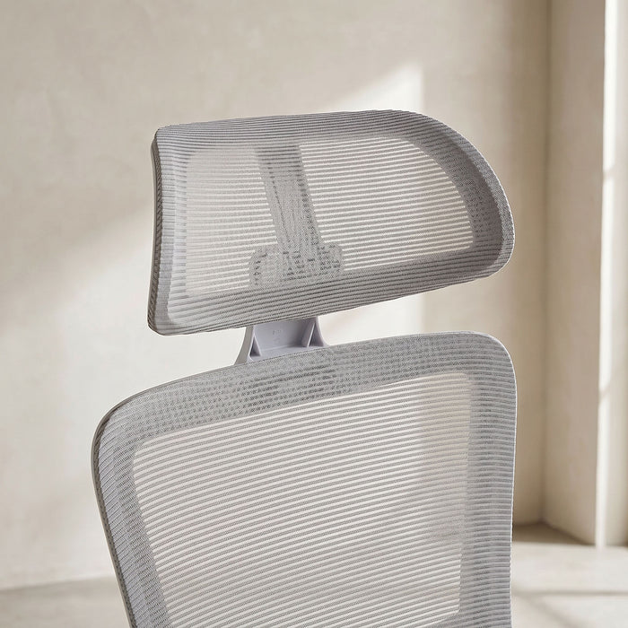 Ergonomic High Back Office Chair with 2D Lumbar Support