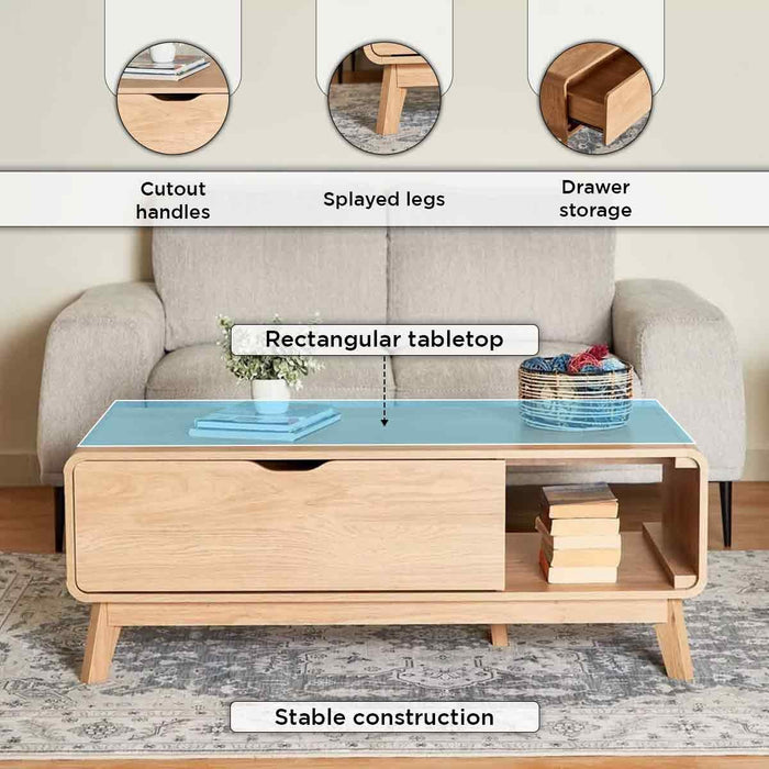 Mid-Century Rectangular Wooden Coffee Table with Storage Door