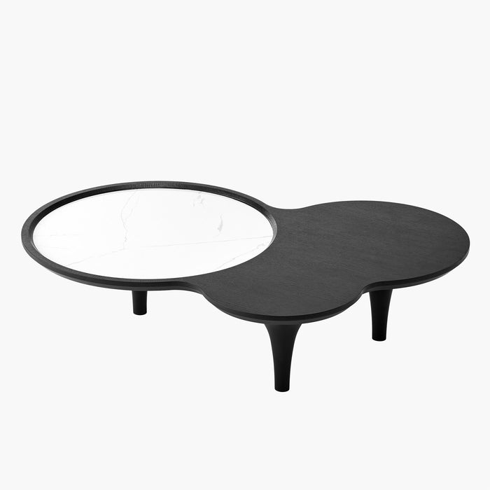 Modern Sintered Stone Organic Shape Coffee Table