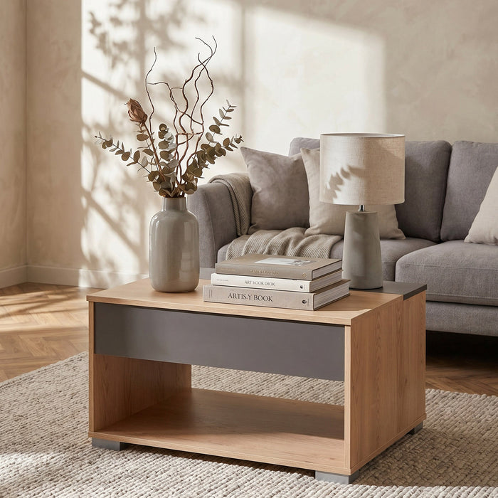 Modern Rectangular Lift Top Coffee Table with Hidden Storage
