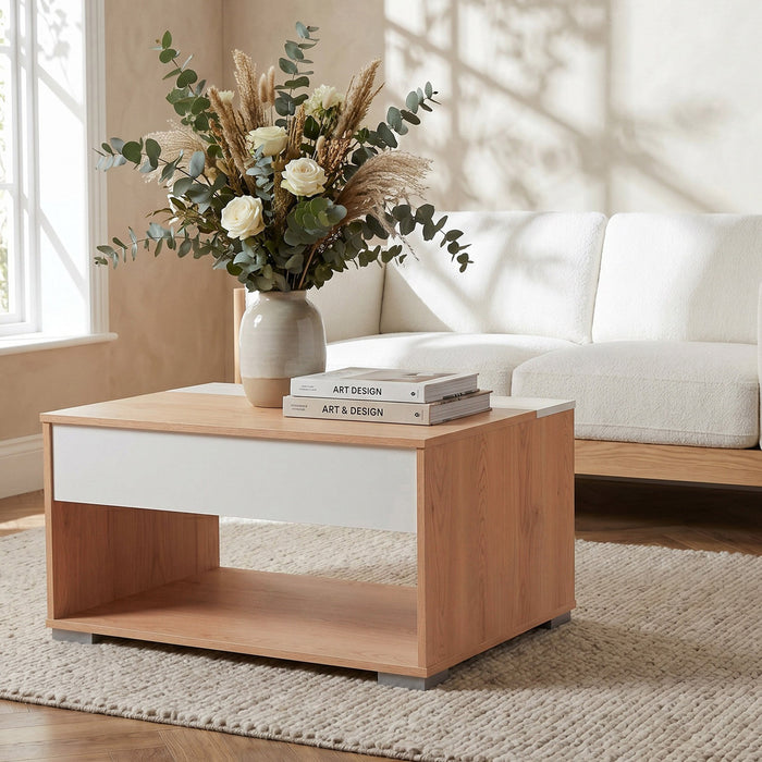 Modern Rectangular Lift Top Coffee Table with Hidden Storage