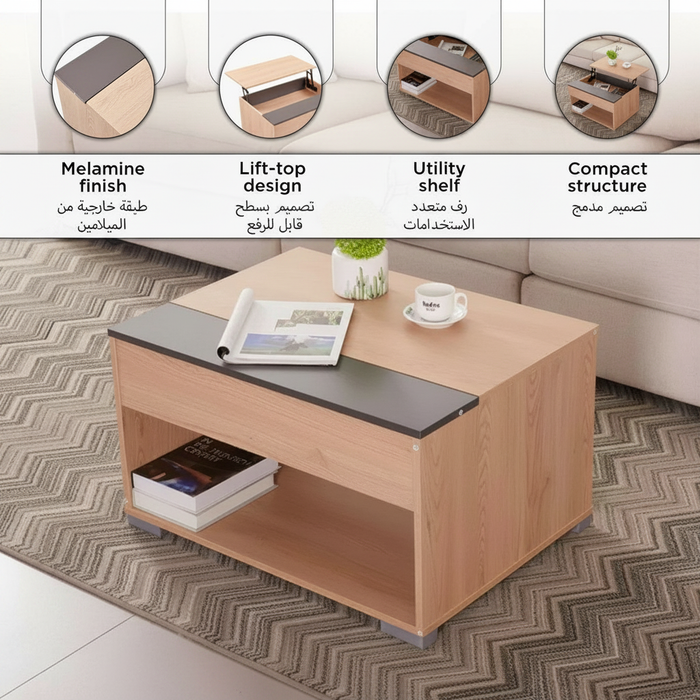 Modern Rectangular Lift Top Coffee Table with Hidden Storage