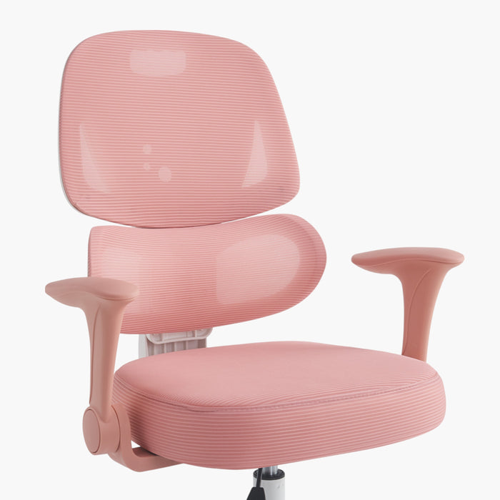 Ergonomic High-Back Kids Mesh Study Chair