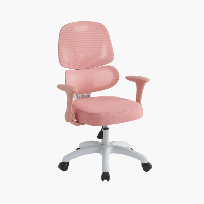 Ergonomic High-Back Kids Mesh Study Chair