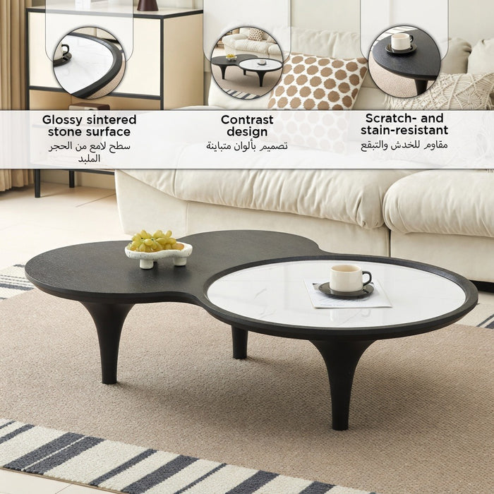 Modern Sintered Stone Organic Shape Coffee Table